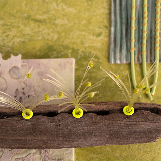 Driftwood Dreams